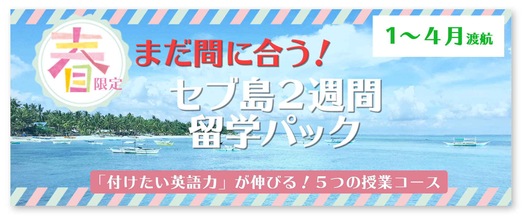 ニルスの春限定留学パック